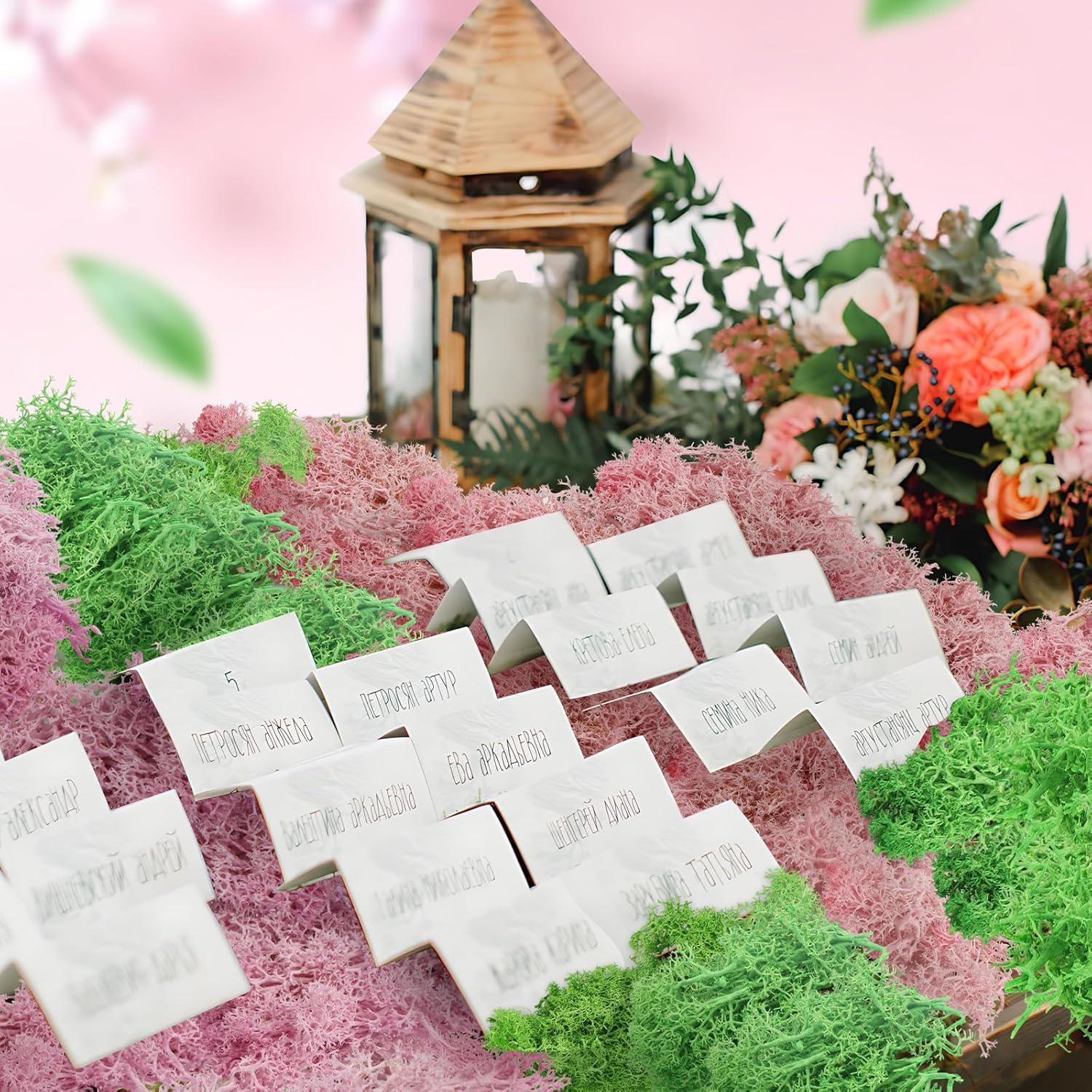 Kit de Escenario Rosa QUOZUO 10 Accesorios Jardín Mini