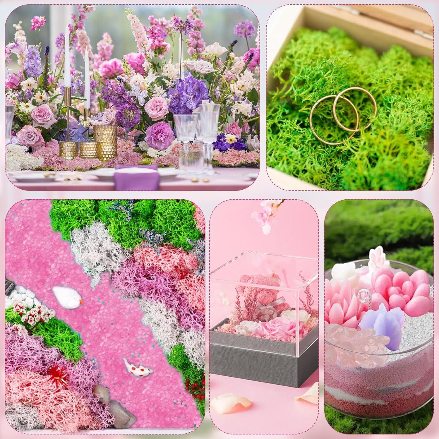 Kit de Escenario Rosa QUOZUO 10 Accesorios Jardín Mini
