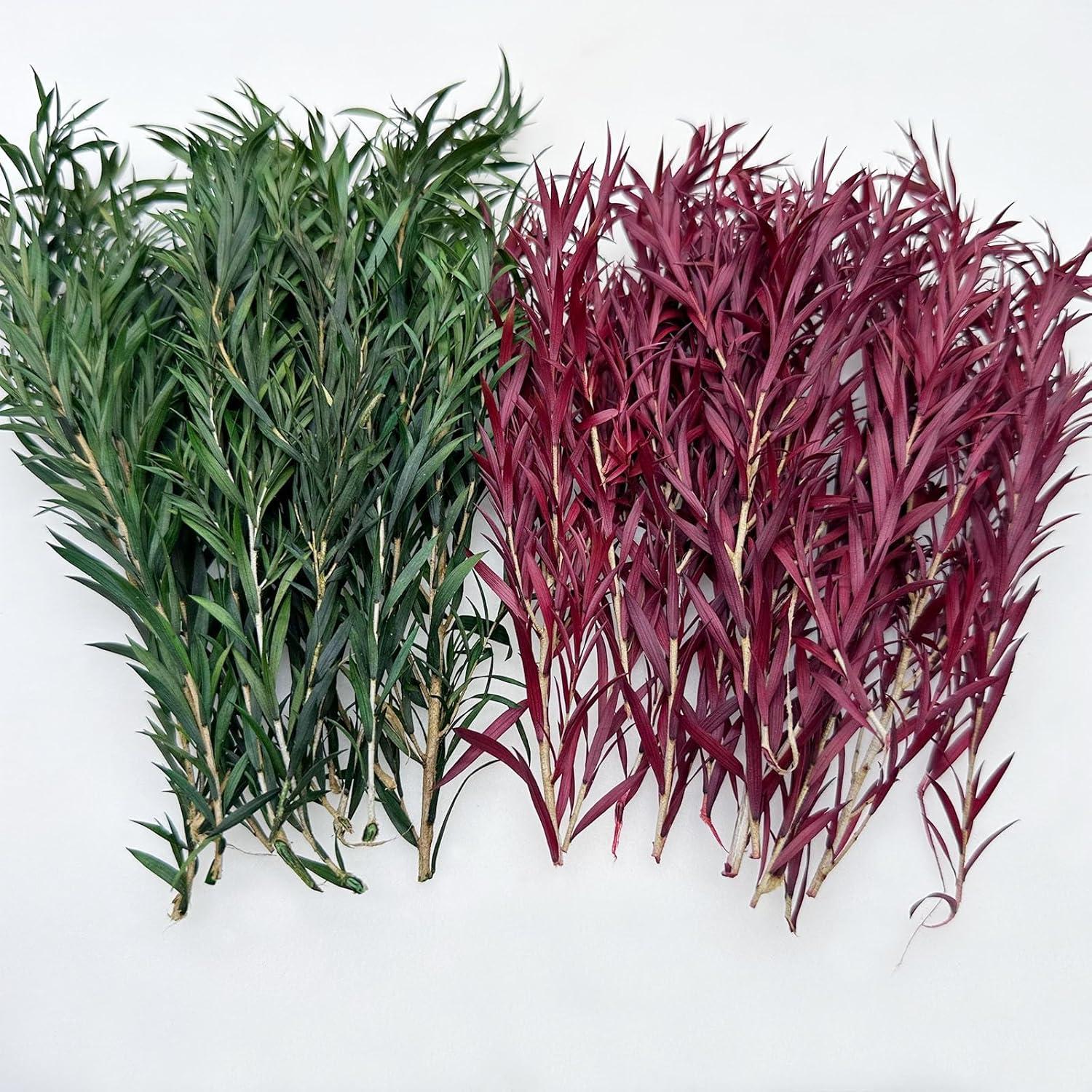 Cayway 2 Arbustos Artificiales Verde y Rojo para Diorama