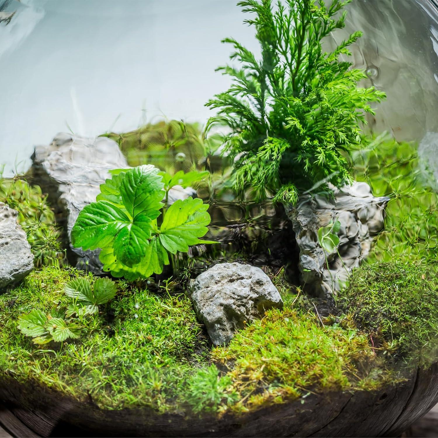 Hierba Estática Multicolor MECCANIXITY 5mm 4x30g