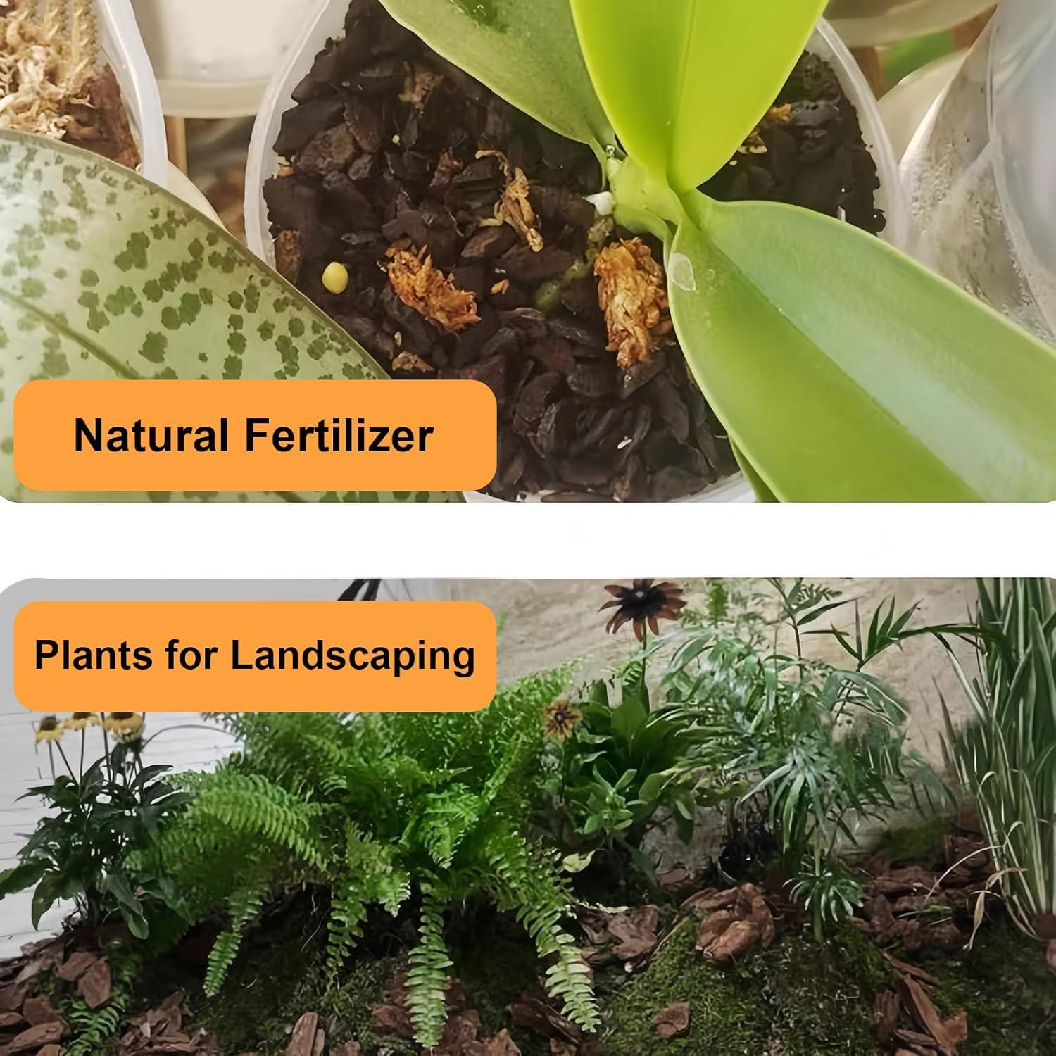 Materiales de Diorama de Corteza Miniatura Warmtree 40.8g