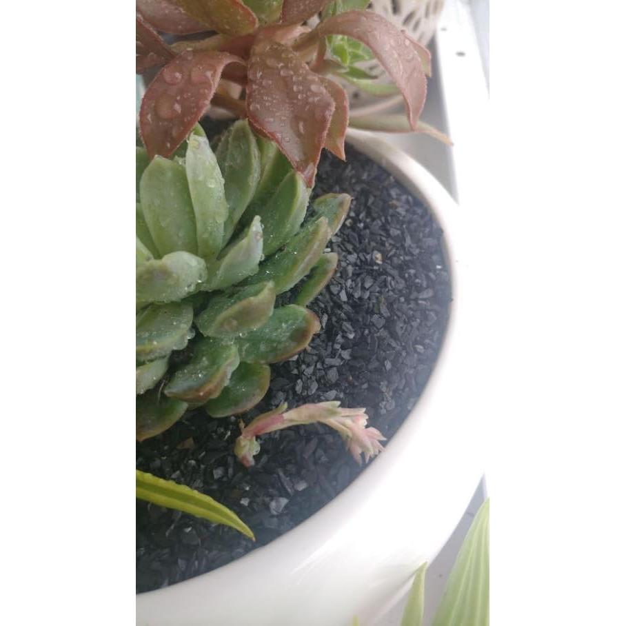 Arena Gruesa Natural 0,23 kg Small World para Manualidades