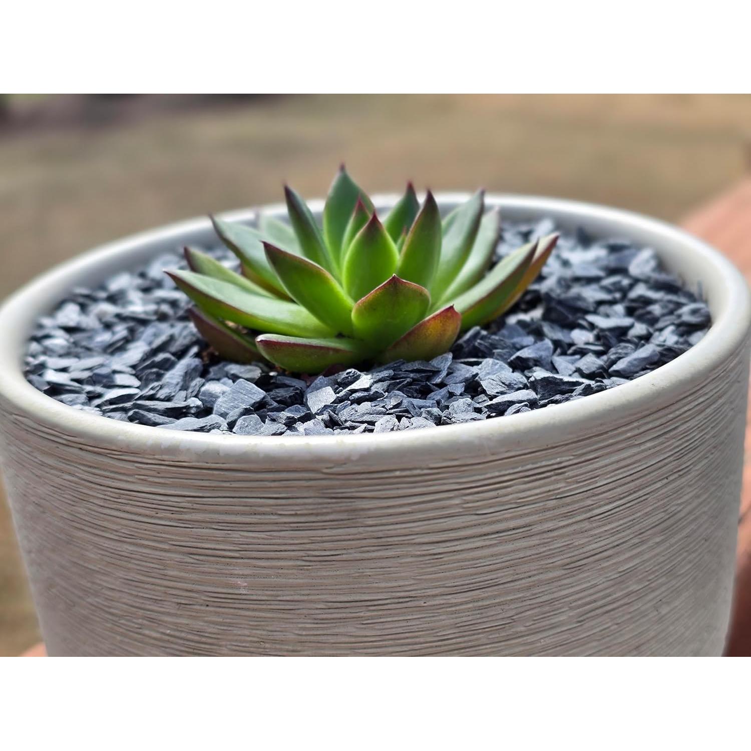 Grava de piedra pizarra natural 1/8 a 1/4" 0.45 kg Small World