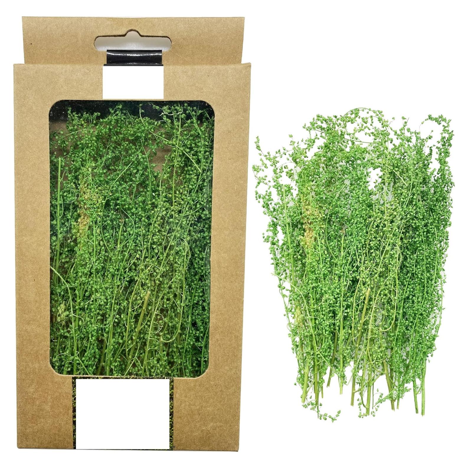 Arbustos Miniatura Cayway Verde para Modelismo 10x10 cm