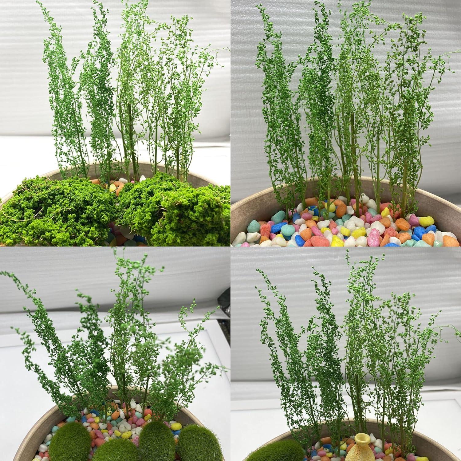 Arbustos Miniatura Cayway Verde para Modelismo 10x10 cm