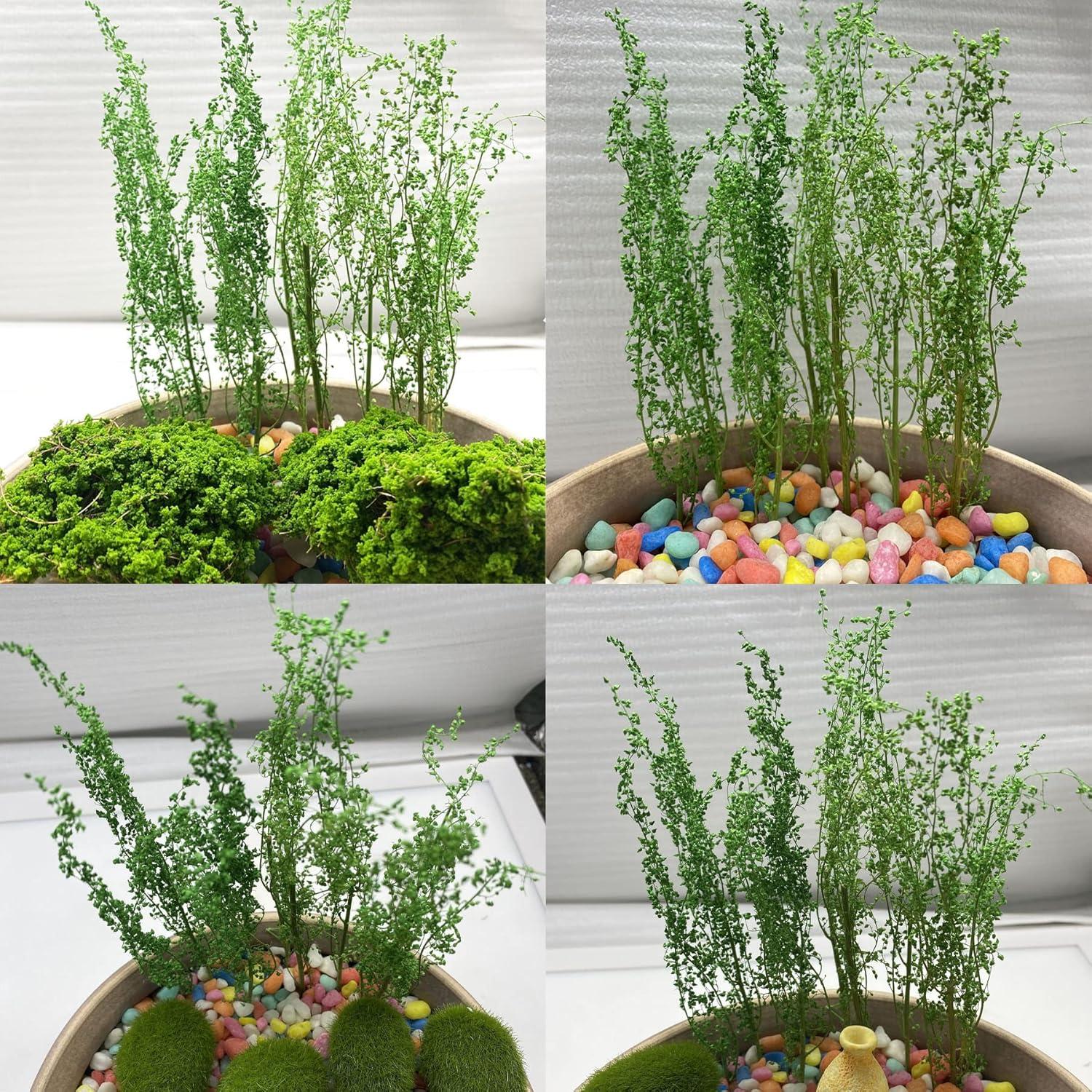 Arbustos Miniatura Cayway Verde para Modelismo 10x10 cm