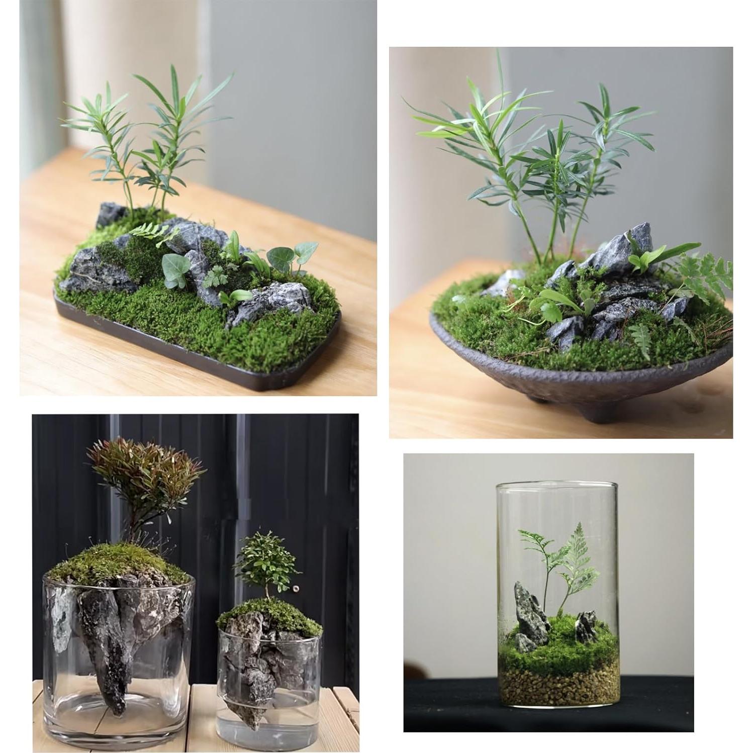 Rocas Acuáticas Naturales Seiryu 20LB para Acuario