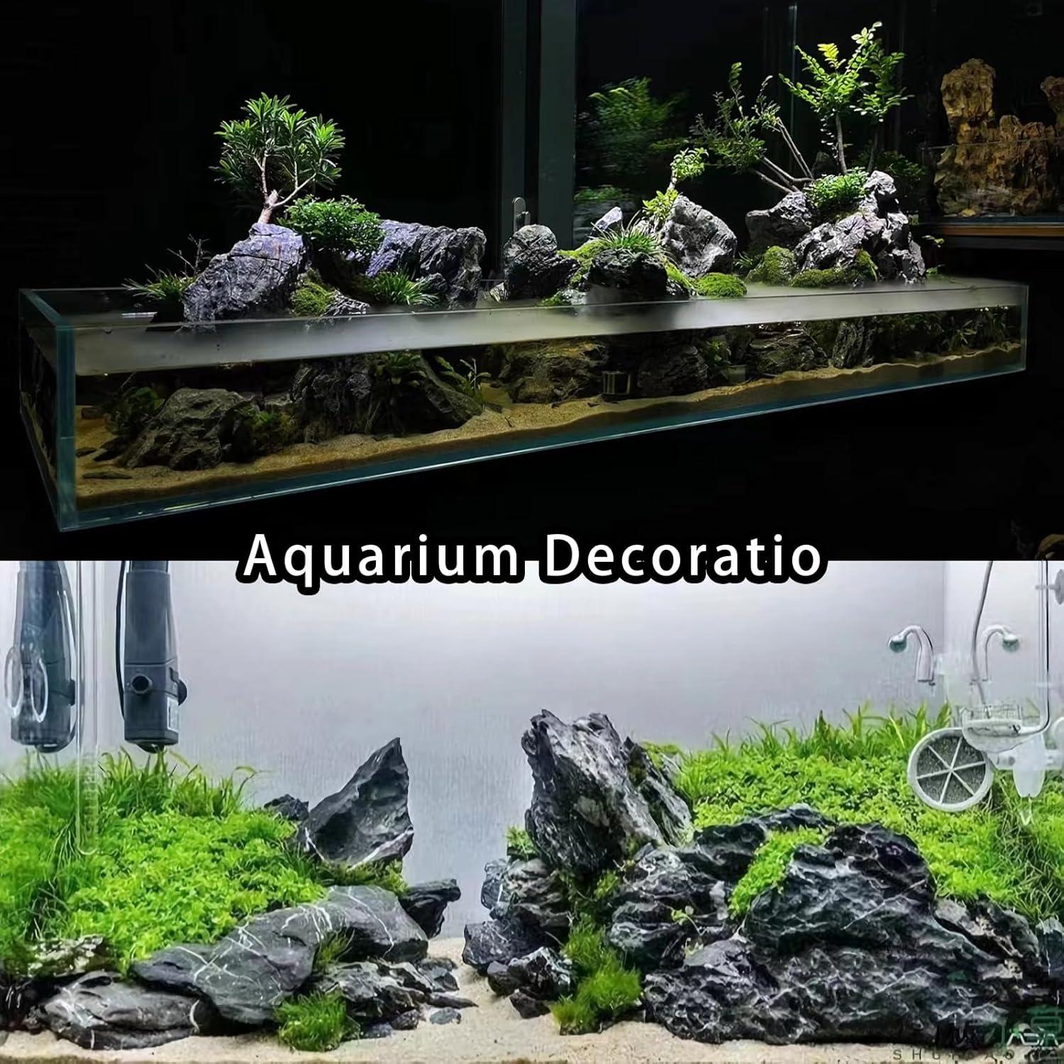 Rocas Acuáticas Naturales Seiryu 20LB para Acuario