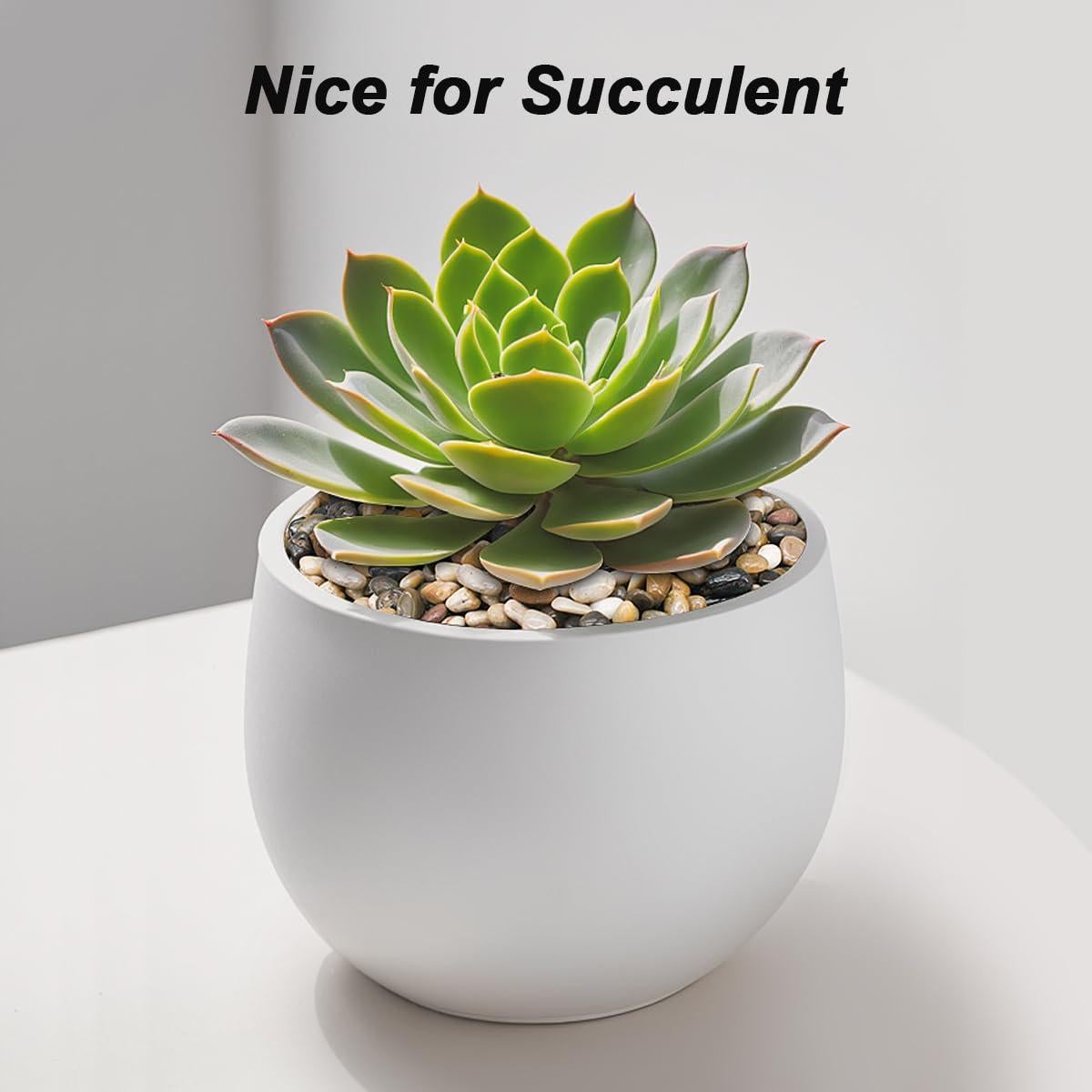 Piedras decorativas VIREKM 0.5-1.2cm 1 libra color mezclado