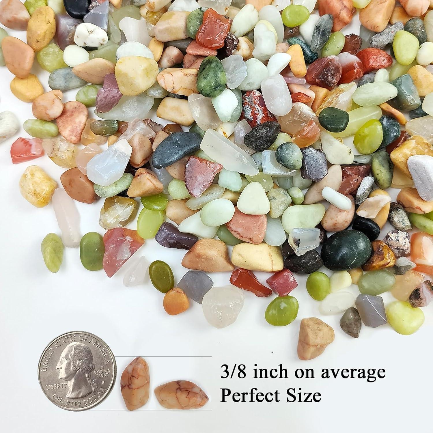 Piedras decorativas para plantas FANTIAN 0,5-1 cm 2 kg