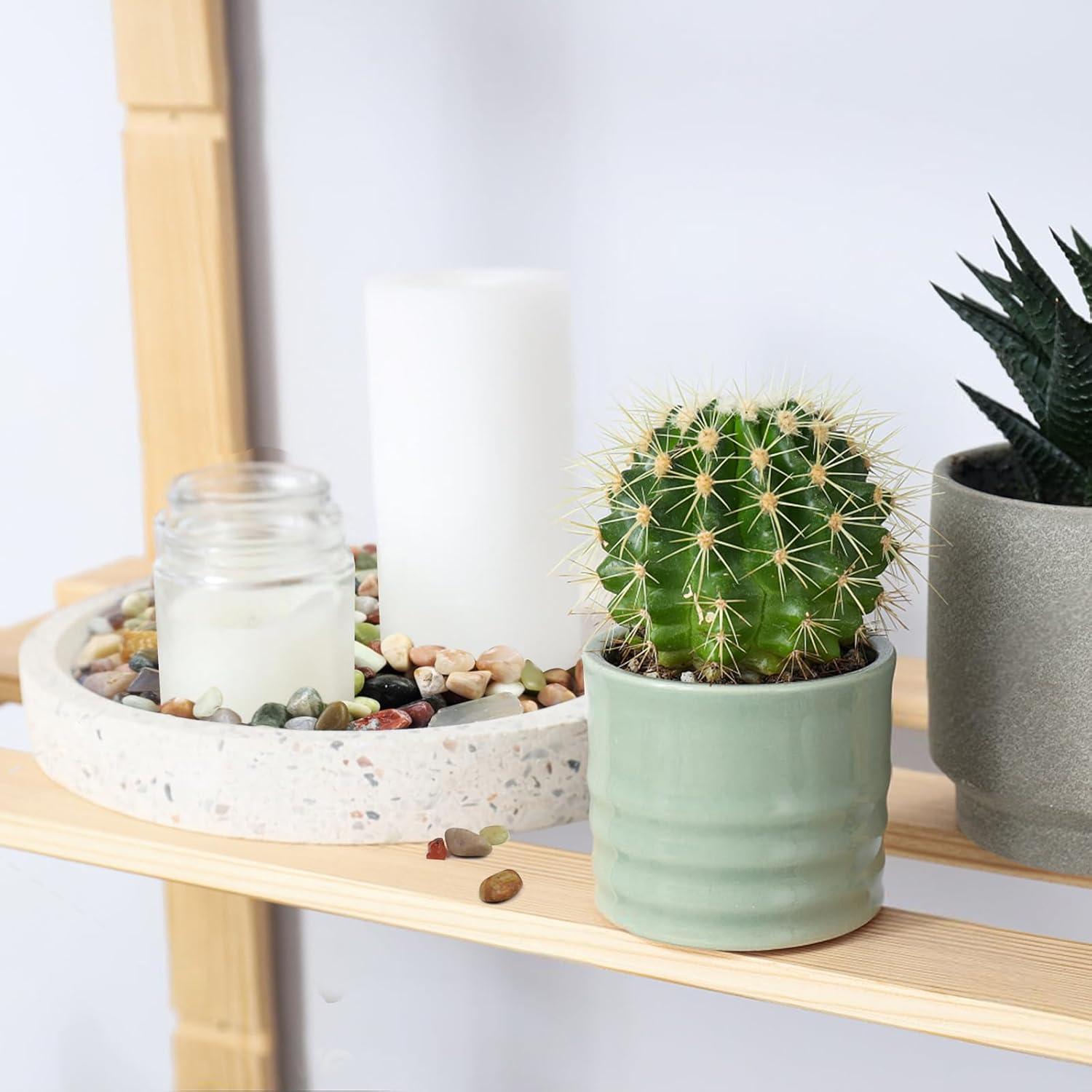 Piedras decorativas para plantas FANTIAN 0,5-1 cm 2 kg