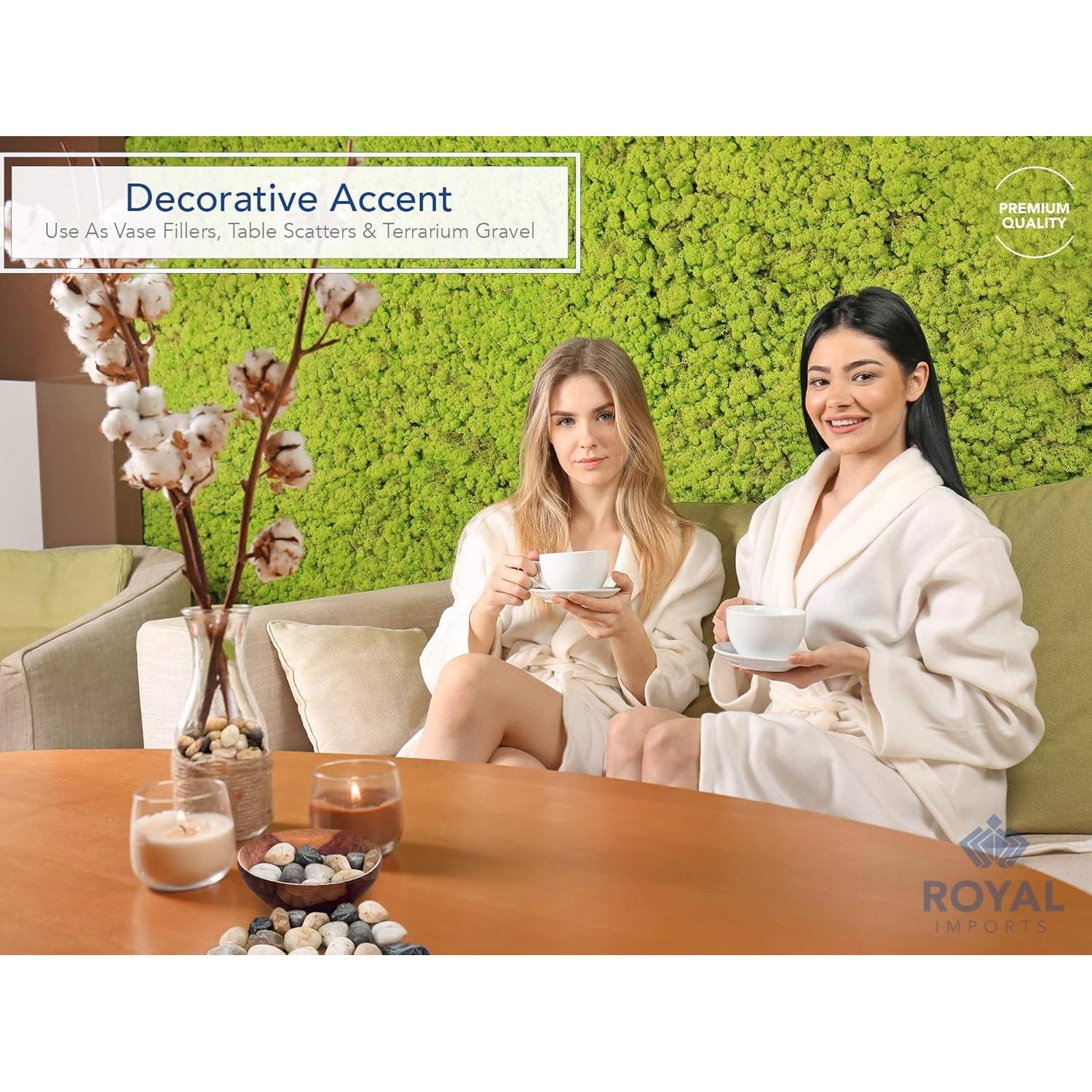 Piedras de Río Decorativas Royal Imports 2.27kg Natural