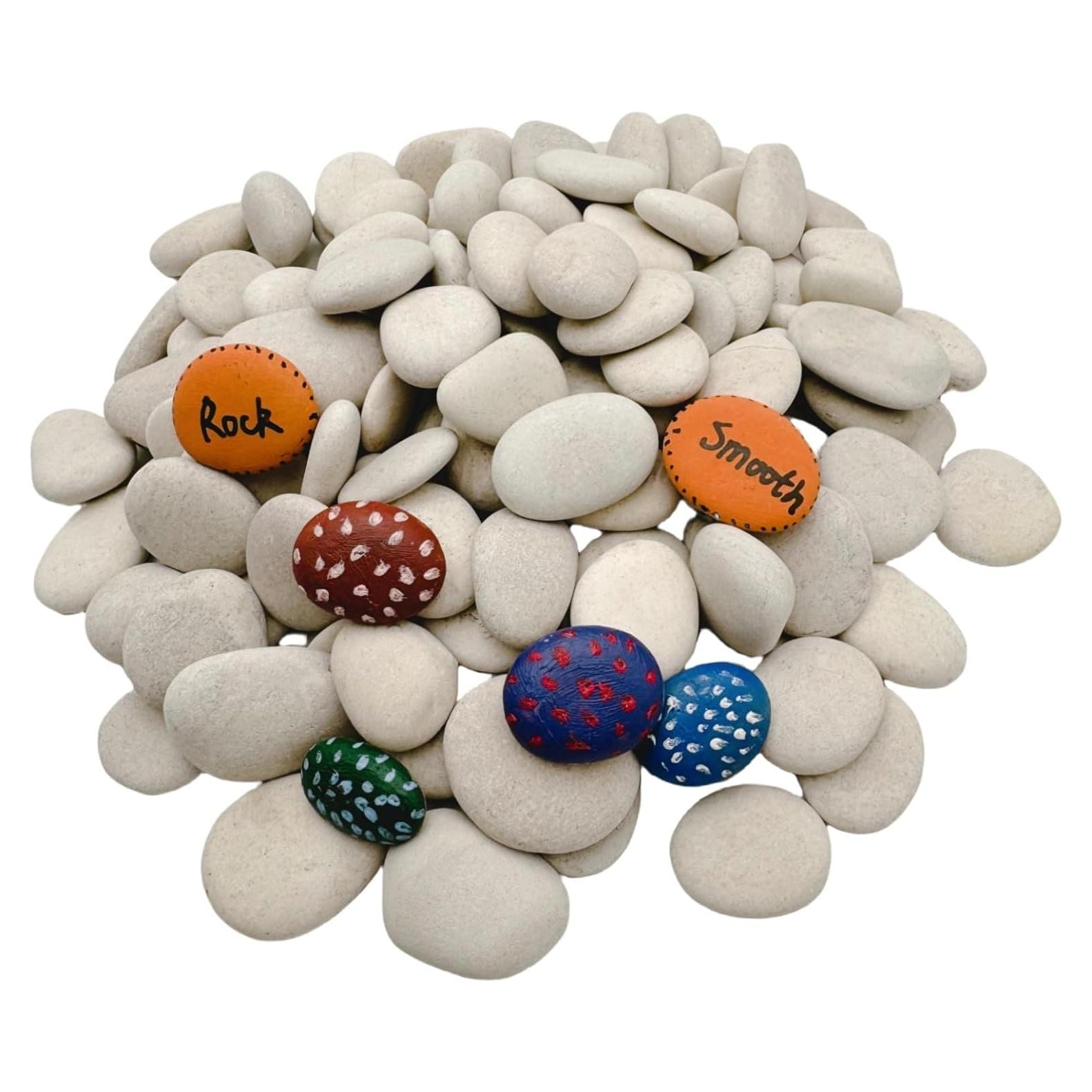 Piedras Blancas Pequeñas para Pintar Lifetop 1LB