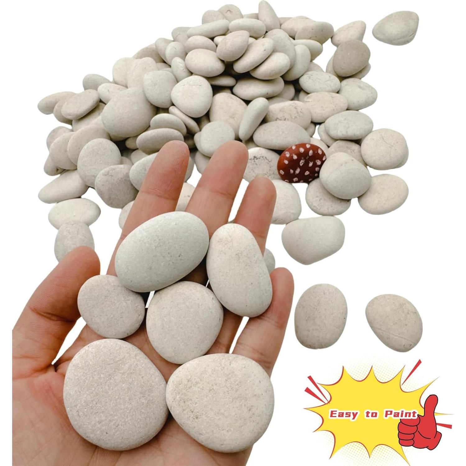 Piedras Blancas Pequeñas para Pintar Lifetop 1LB