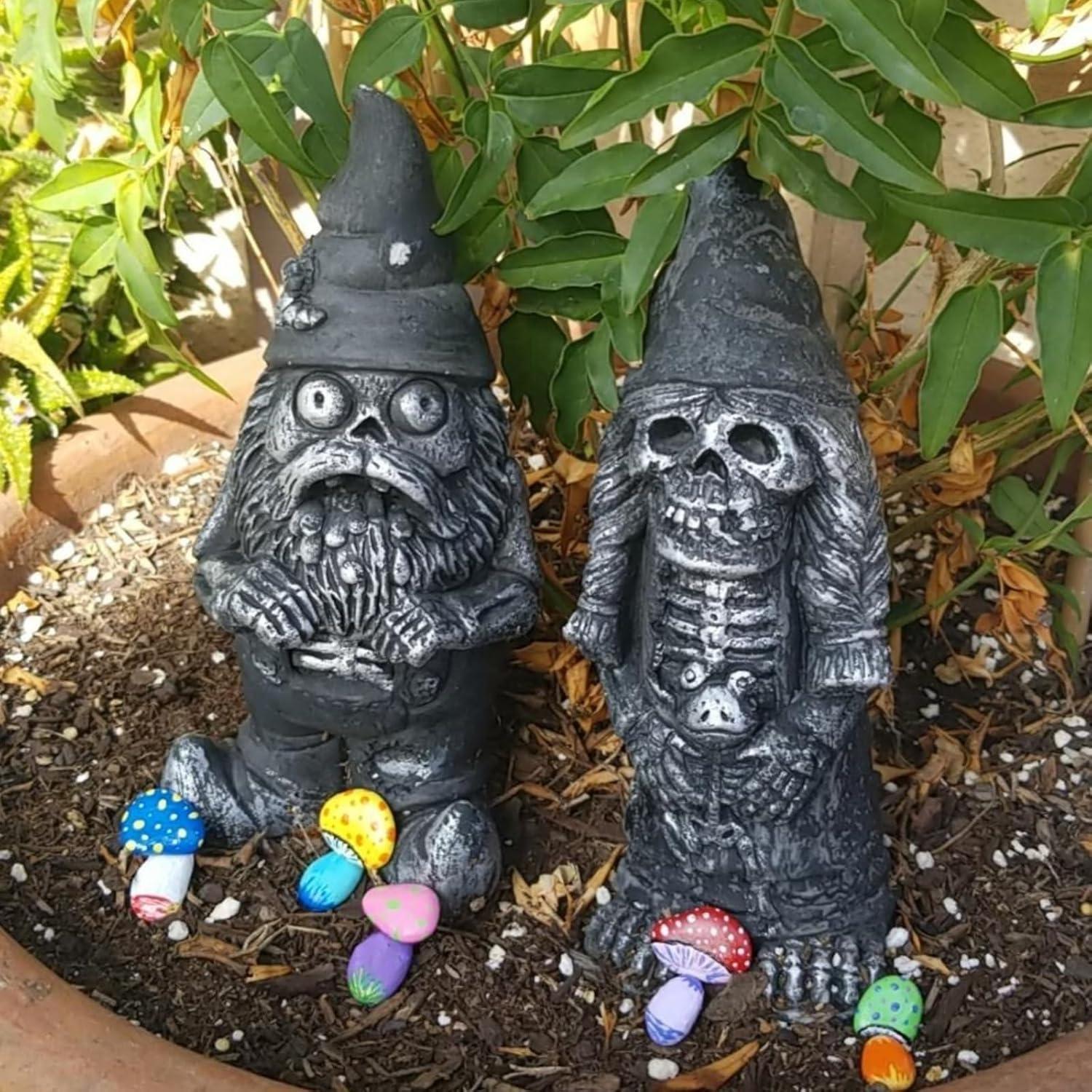 Piedras Blancas Pequeñas para Pintar Lifetop 1LB