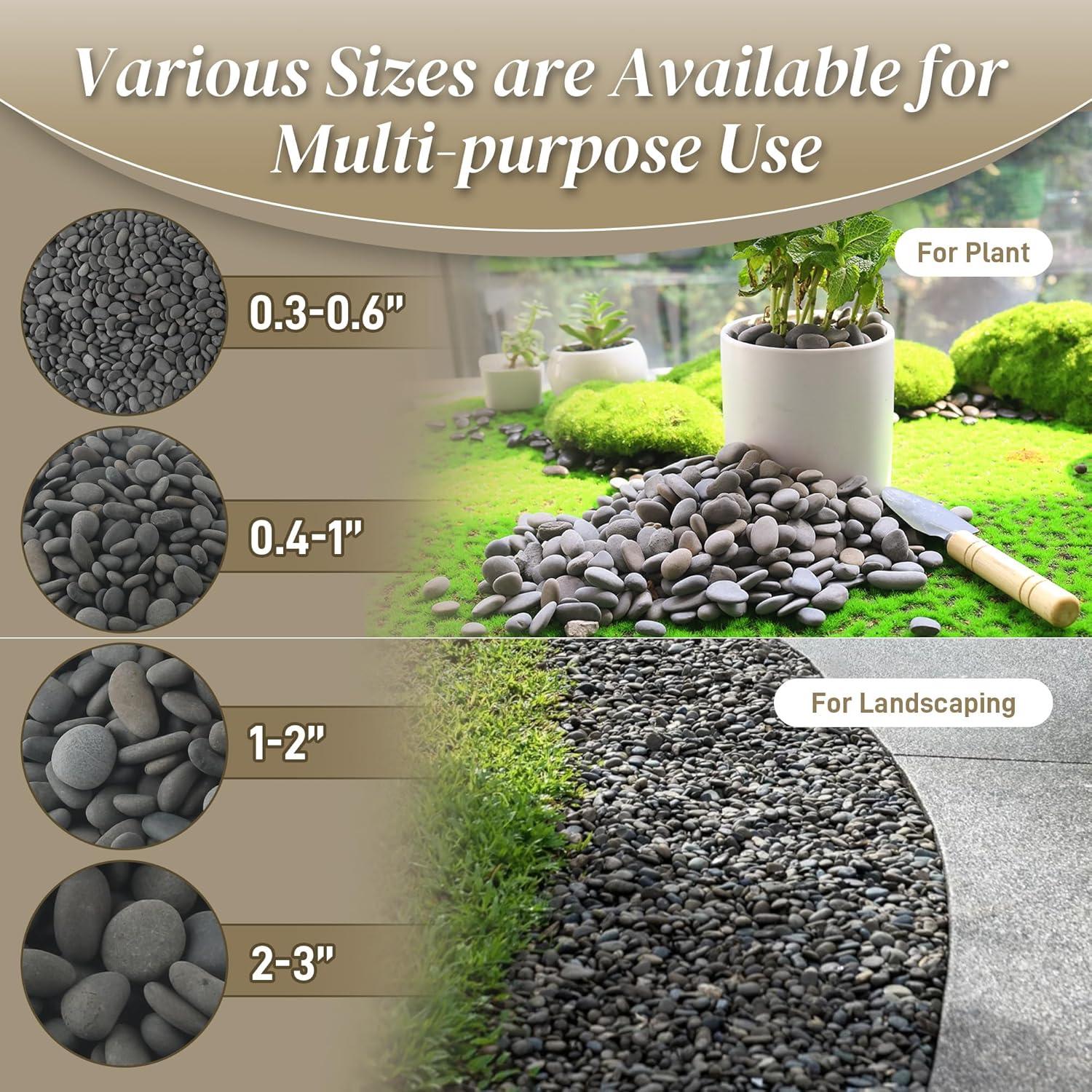 Piedras de Playa Mexicanas Naturales 2,27 kg para Jardín