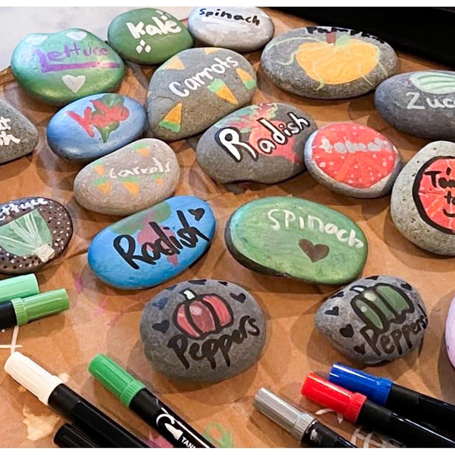 Piedras de Playa Mexicanas Naturales 2,27 kg para Jardín