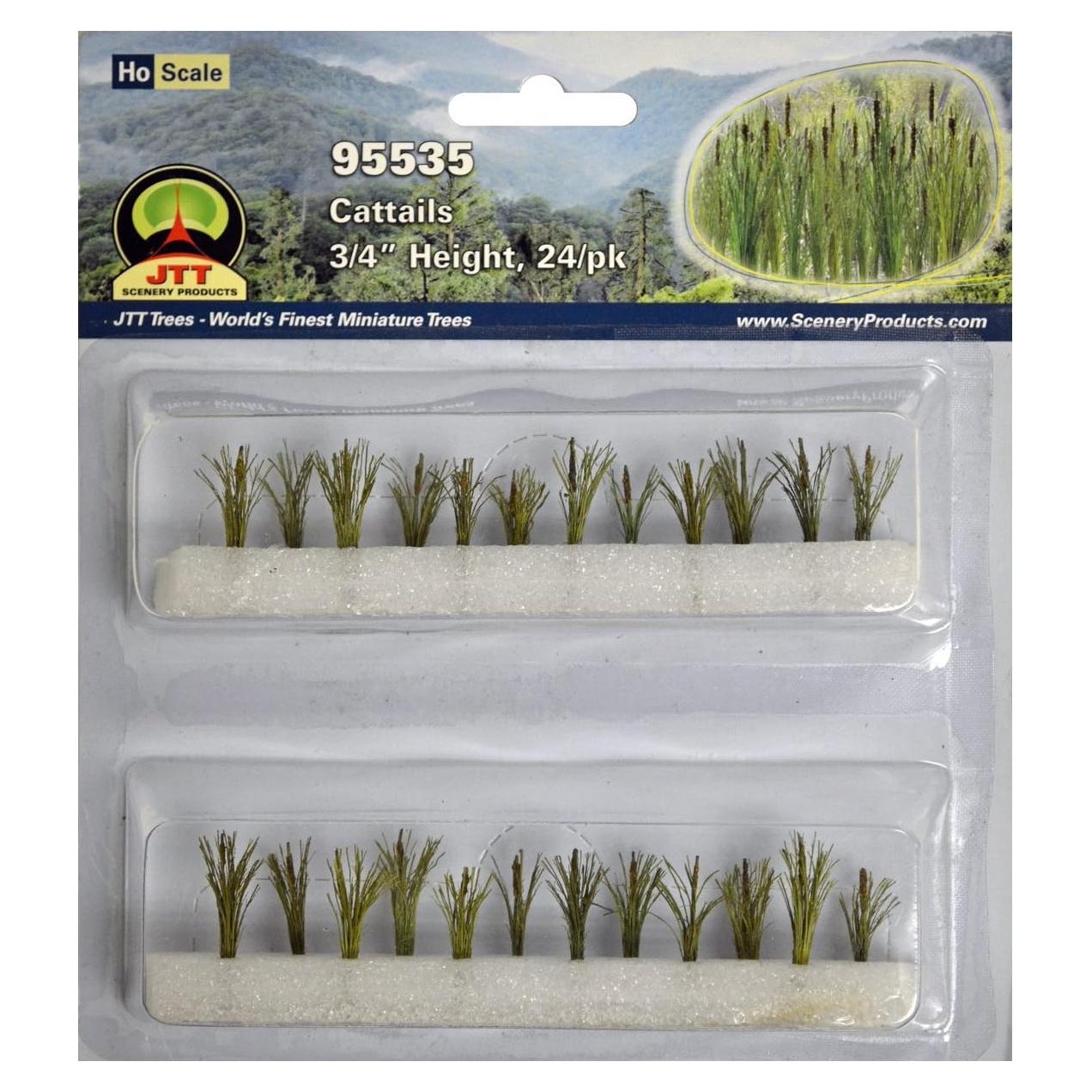Plantas de Jardinería Cattails HO 24 Unidades 1,91 cm