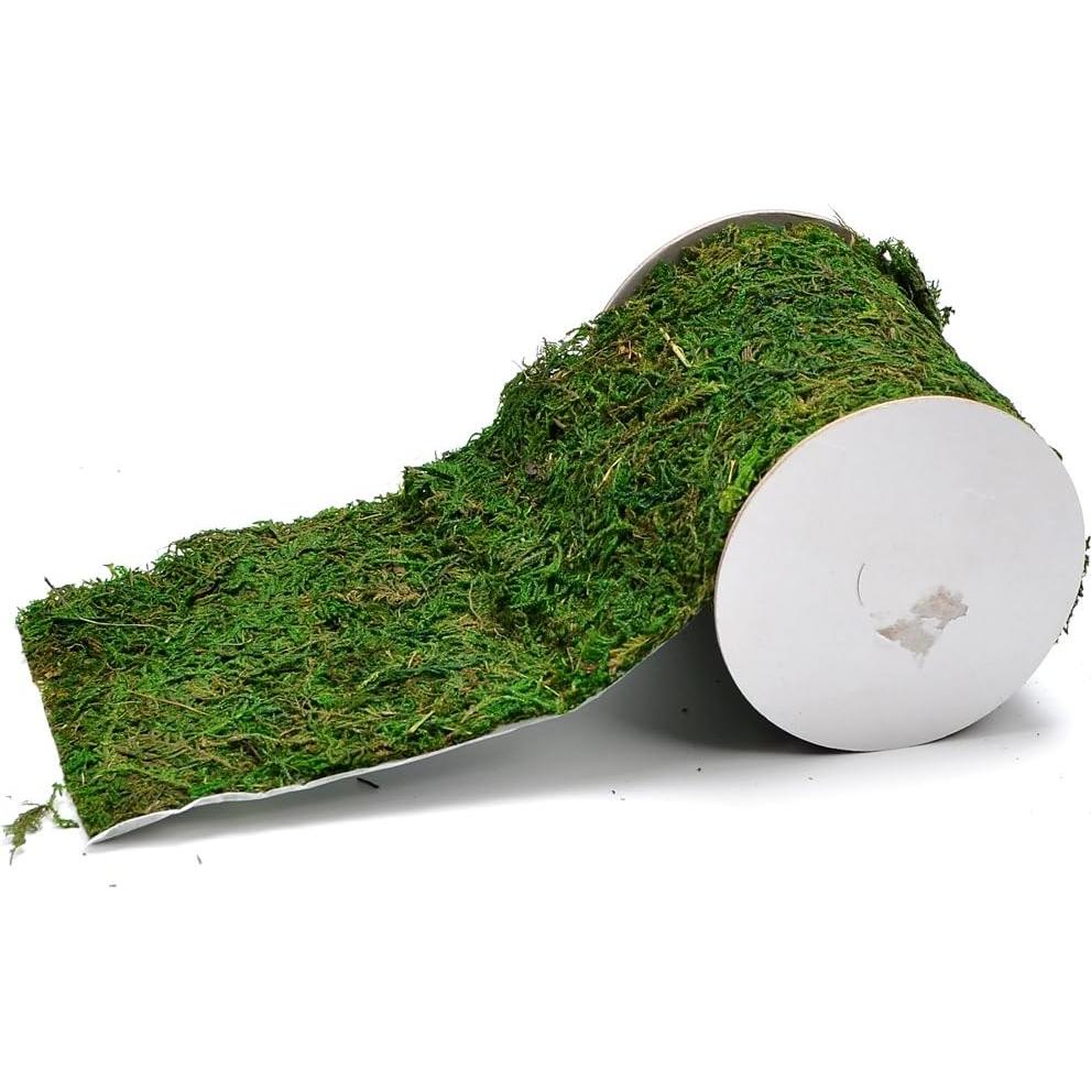 Rollo de Musgo Verde Natural Byher 10x120cm para Decoración