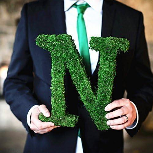 Rollo de Musgo Verde Natural Byher 10x120cm para Decoración