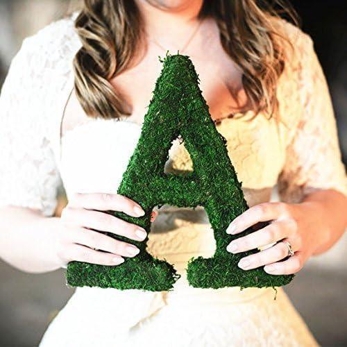 Rollo de Musgo Verde Natural Byher 10x120cm para Decoración