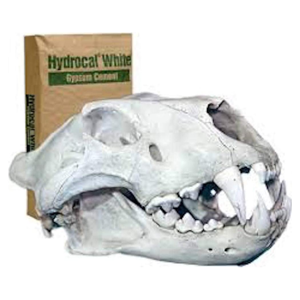 Yeso Hydrocal Capital Ceramics 4.74 kg para Modelado