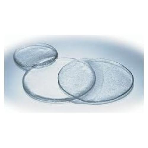 Discos Corporales Silipos Silopad 6.35 cm - 2 Unidades