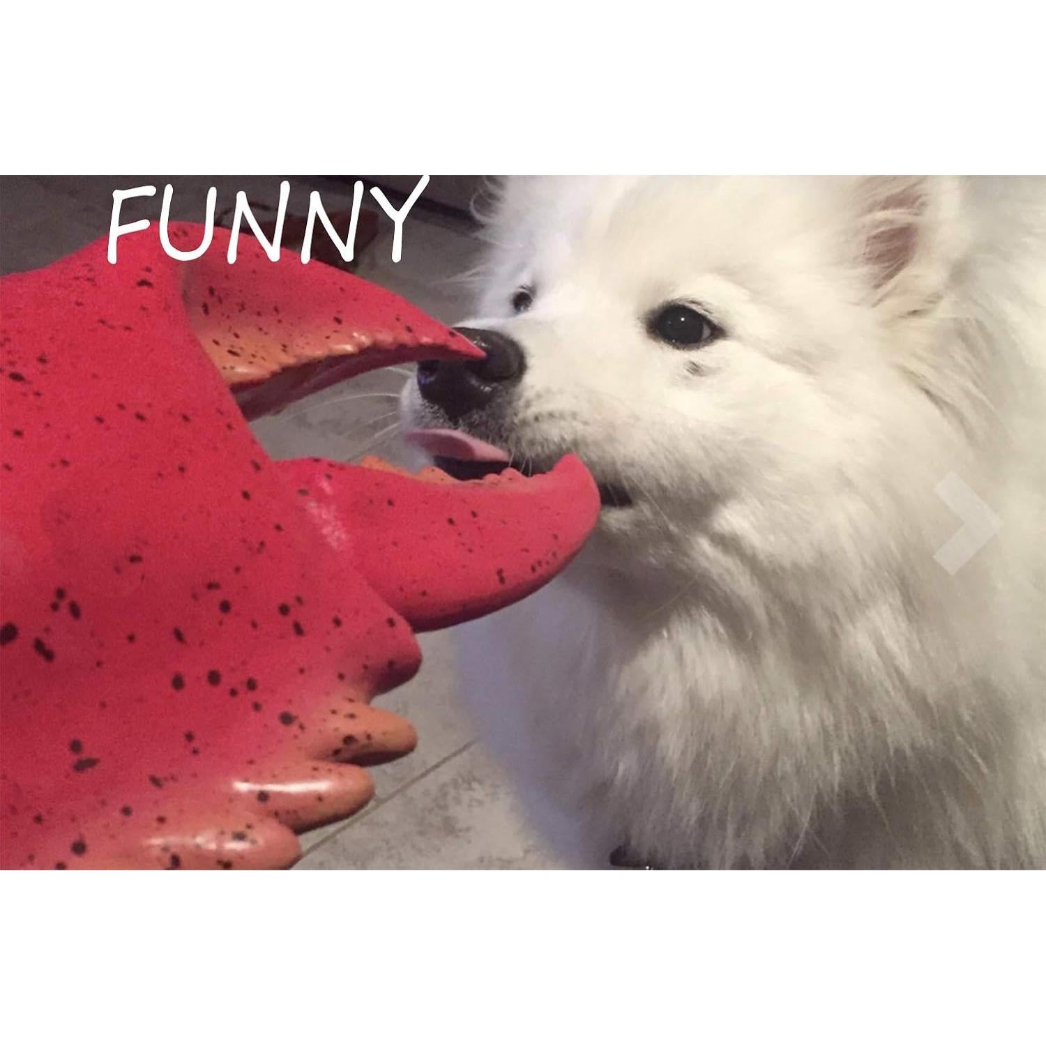 Guantes de Garras de Langosta Valentoria 35 cm Rojo