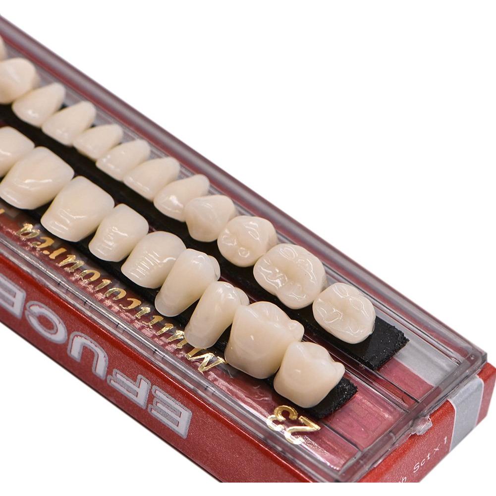 Kit de Dientes Falsos de Resina Acrílica Angzhili 28 Pcs