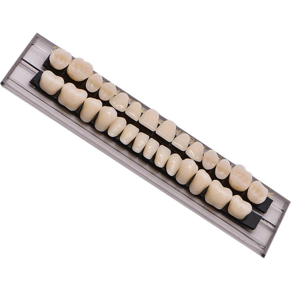 Kit de Dientes Falsos de Resina Acrílica Angzhili 28 Pcs