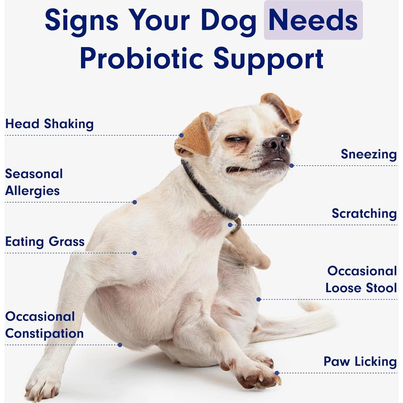 Probioticos PetLab Co. para Perros Sabor Salmón 30 Masticables