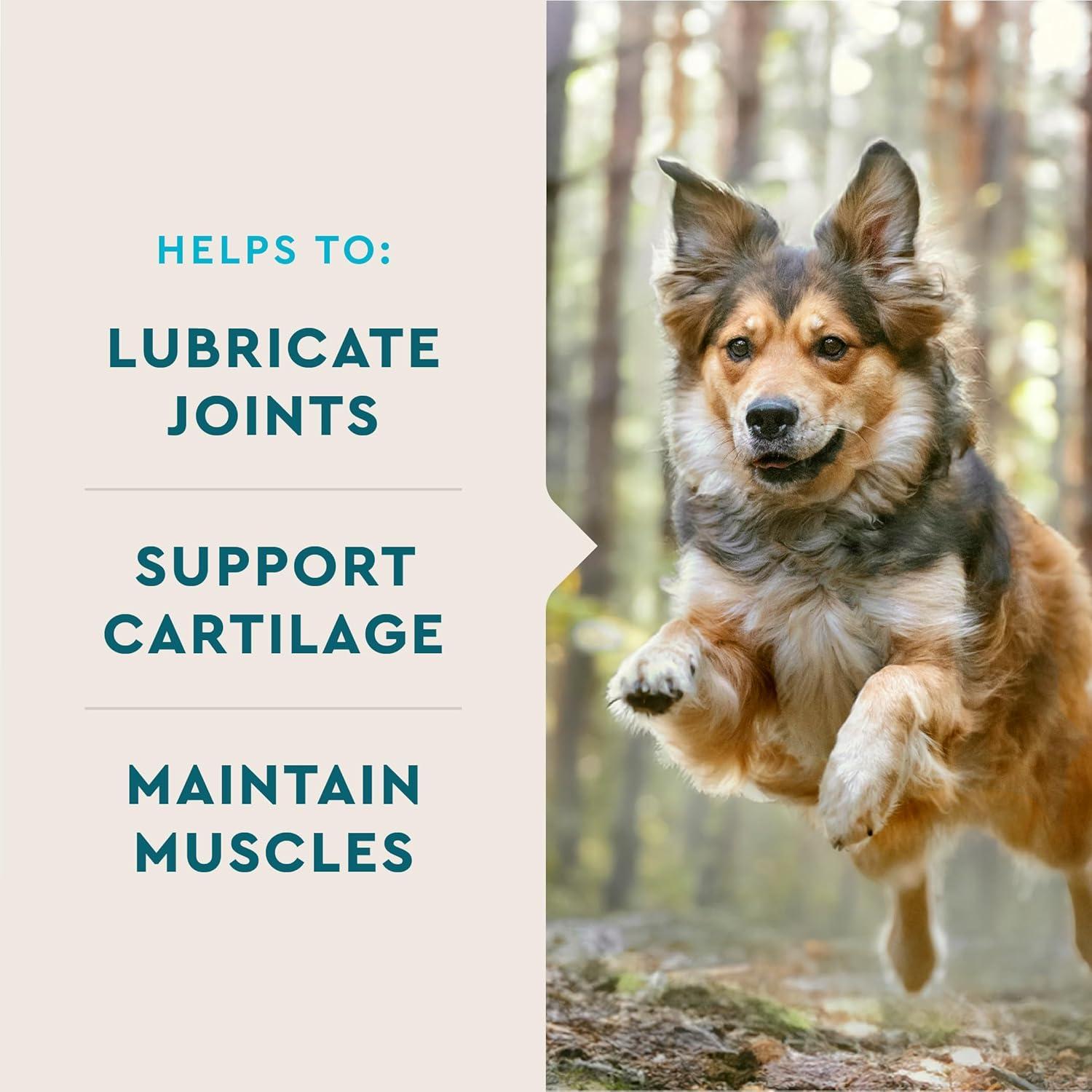 Suplemento de Glucosamina VetIQ para Perros 180 Masticables