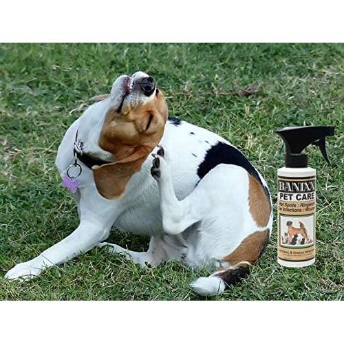 Banixx Cuidado de Mascotas 226g - Infecciones Fúngicas y Bacterianas