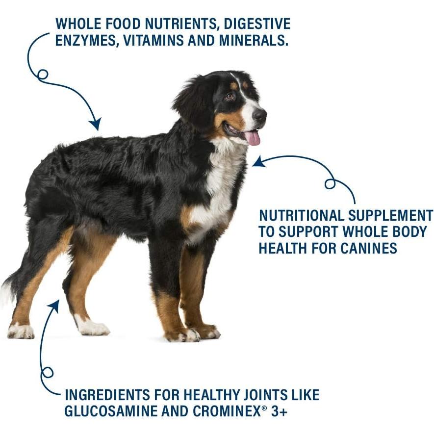Suplemento Nutricional 360 Nutrición para Perros 30 Porciones