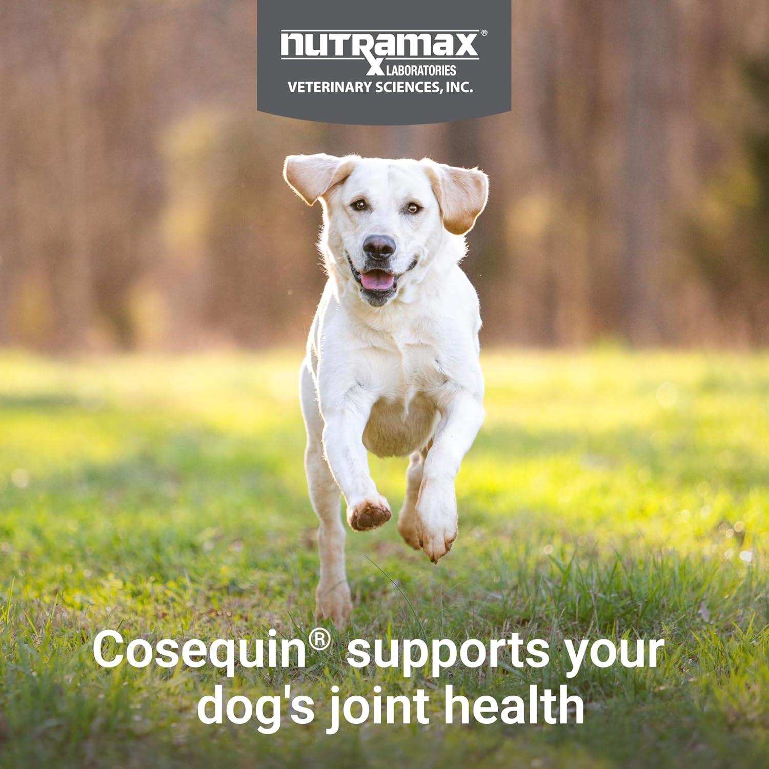 Suplemento Articular Cosequin para Perros 120 Chews Omega-3