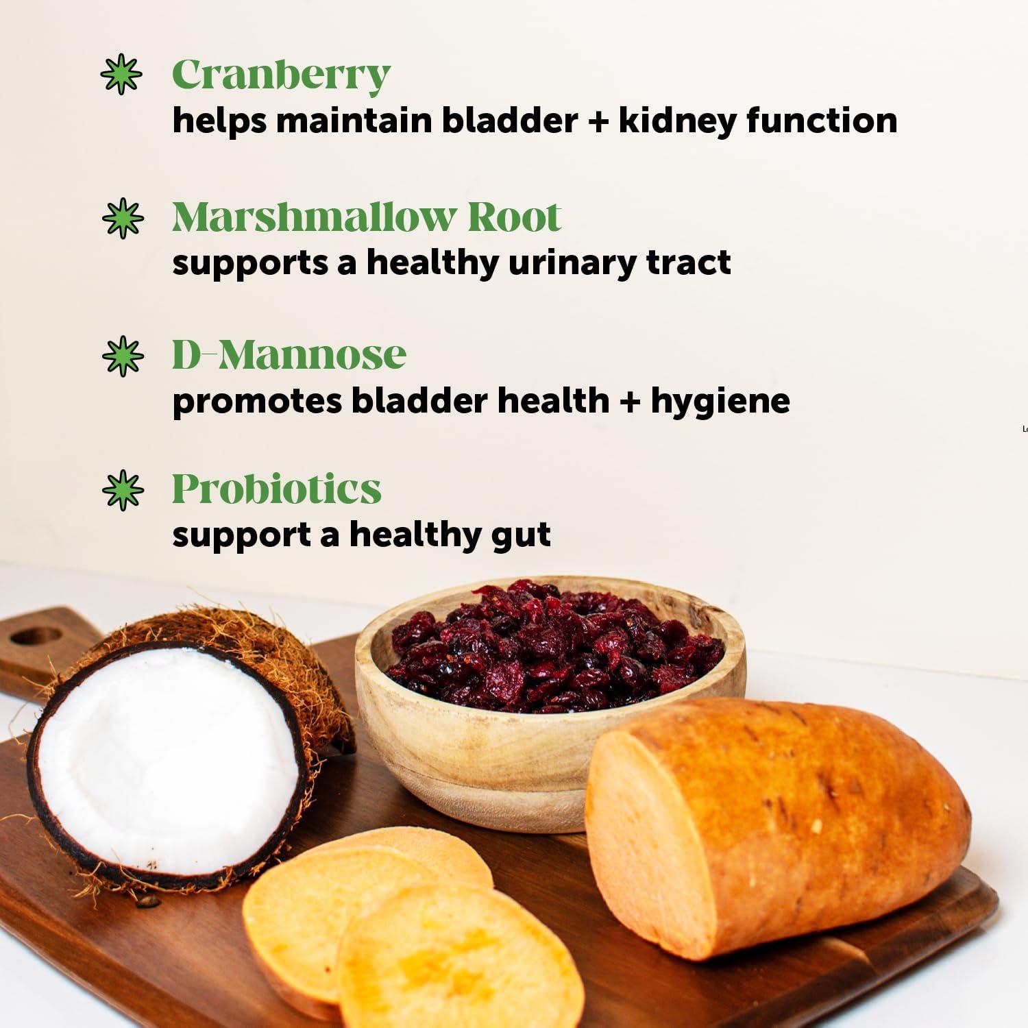 Suplemento para Perros Pet Honesty Vejiga Arándano 270g