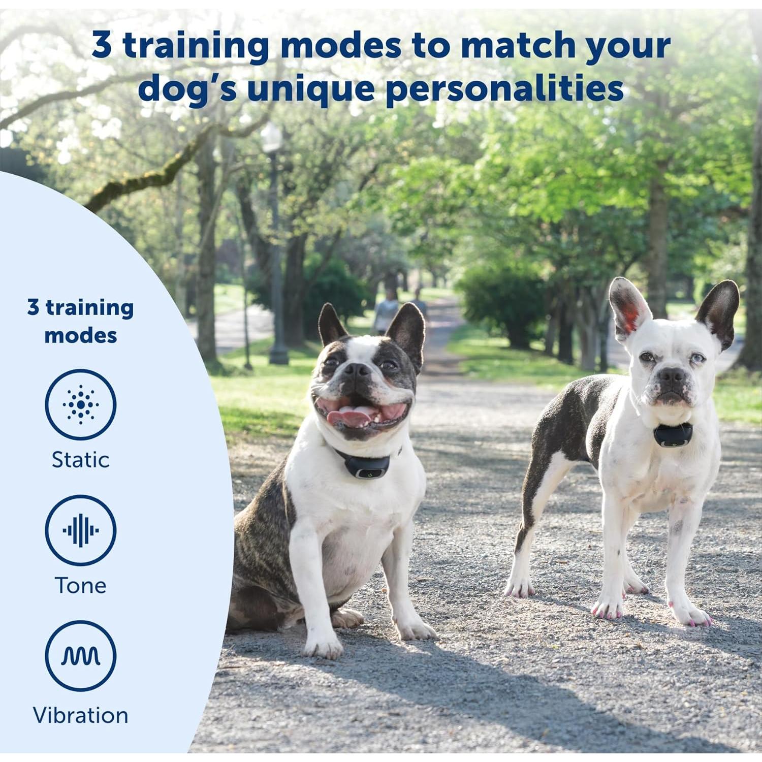 Collar de Entrenamiento Remoto PetSafe PAC00-16163 - Impermeable