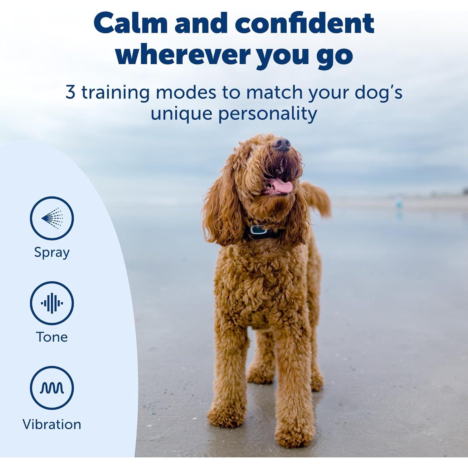 Collar de Entrenamiento Remoto PetSafe - Spray, Tono, Vibración