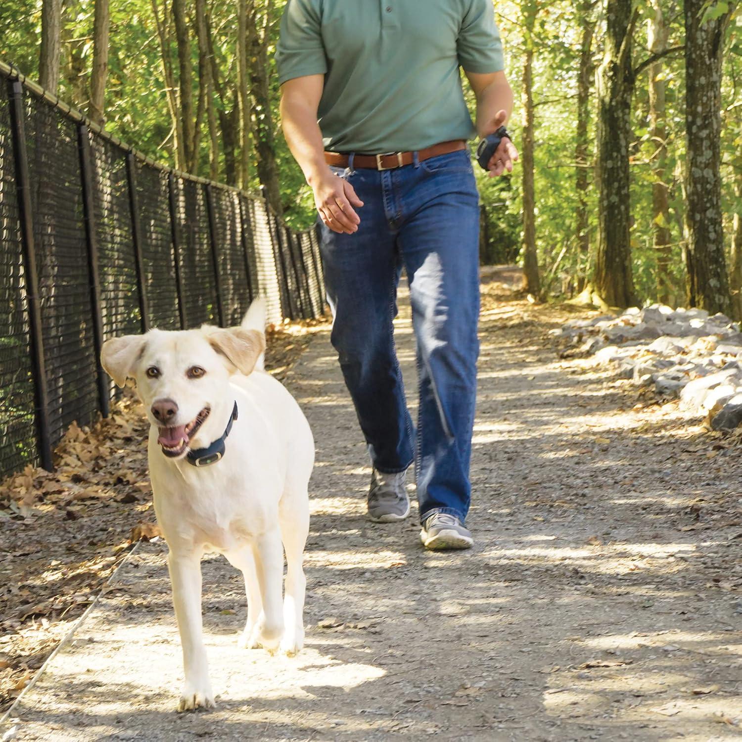 Correa de Mano Ajustable PetSafe para Entrenador Remoto 100-900 Yds