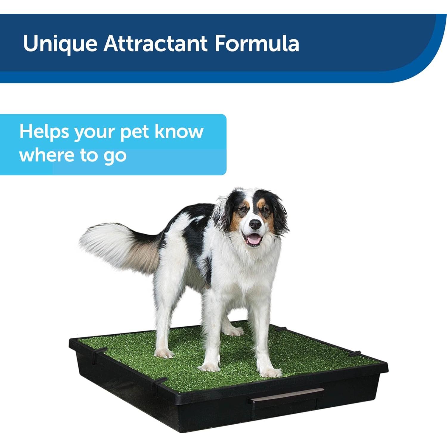 Atractante para Entrenamiento de Baño PetSafe 127g