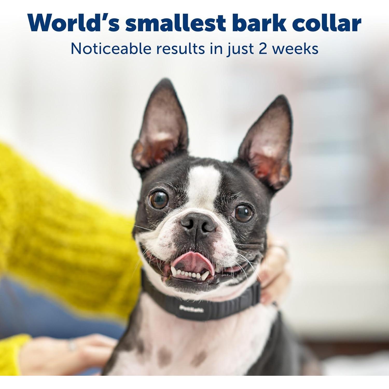 Collar Antiladridos PetSafe NanoBark para Perros Pequeños y Medianos