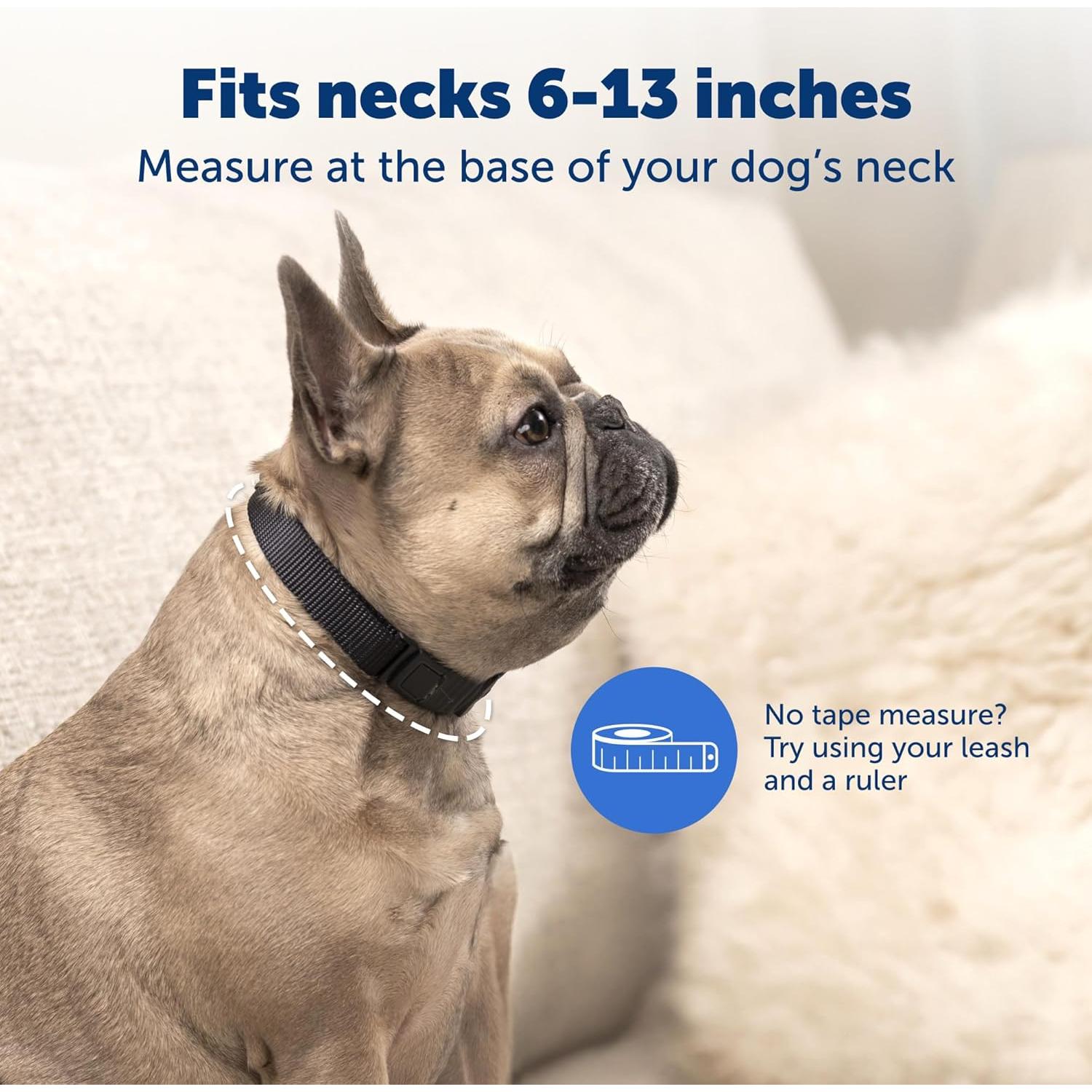 Collar Antiladridos PetSafe NanoBark para Perros Pequeños y Medianos