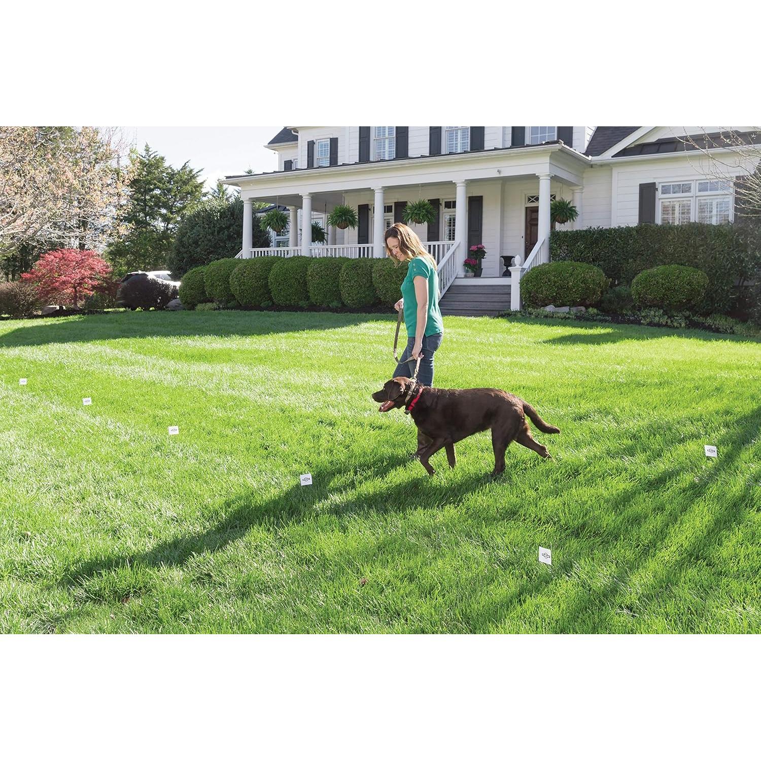 Banderas de Límite PetSafe 50 Unidades para Cercas