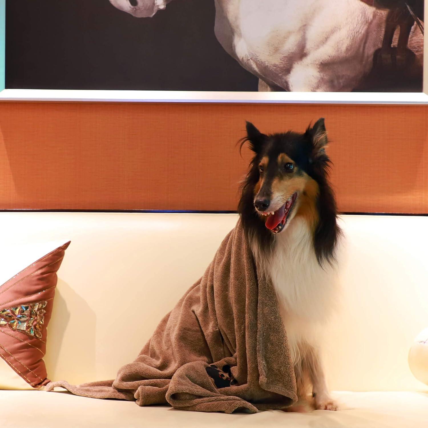 Toallas para Perros Dogvingpk Microfibra 36x28cm Paquete 2