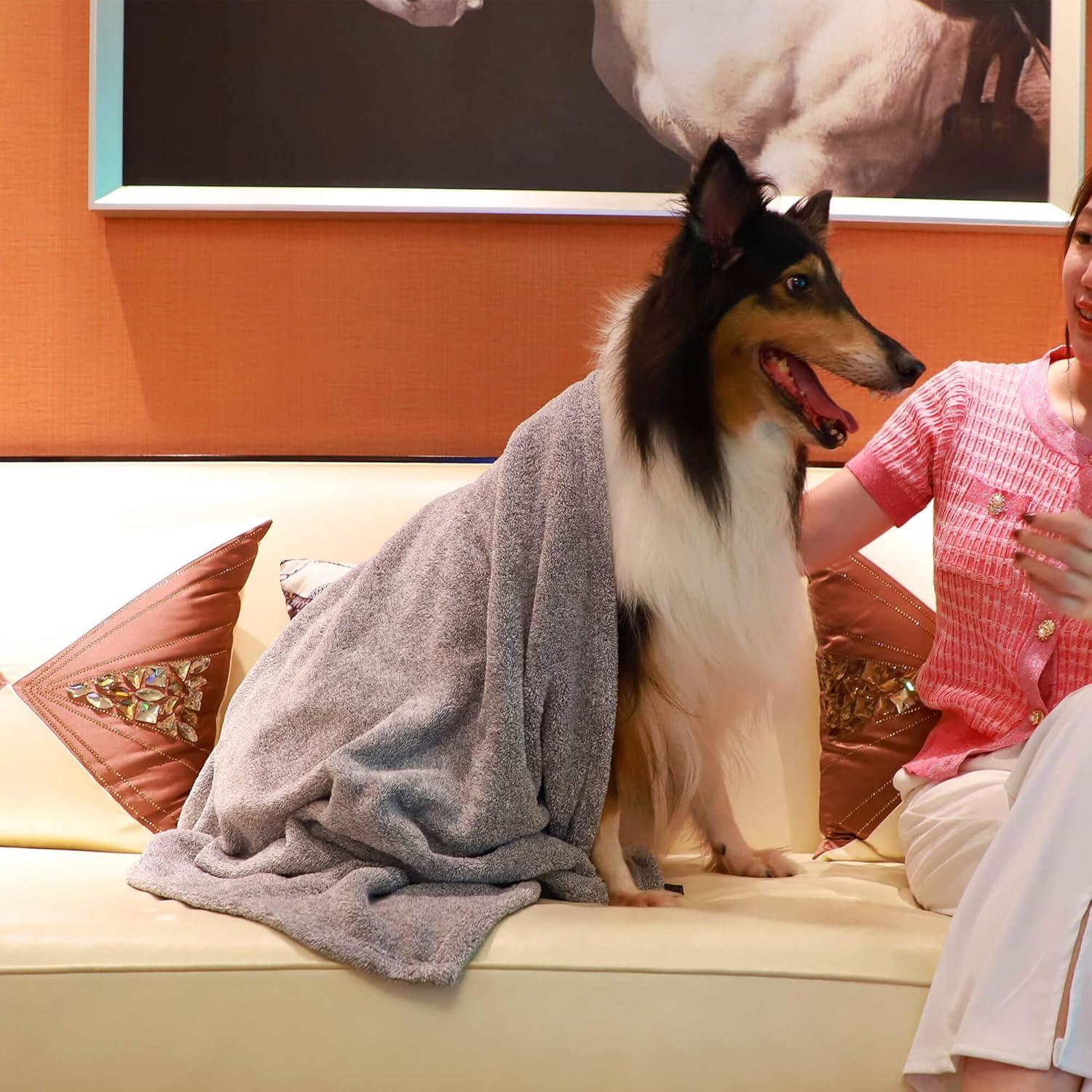 Toallas para Perros Dogvingpk Microfibra 36x28cm Paquete 2