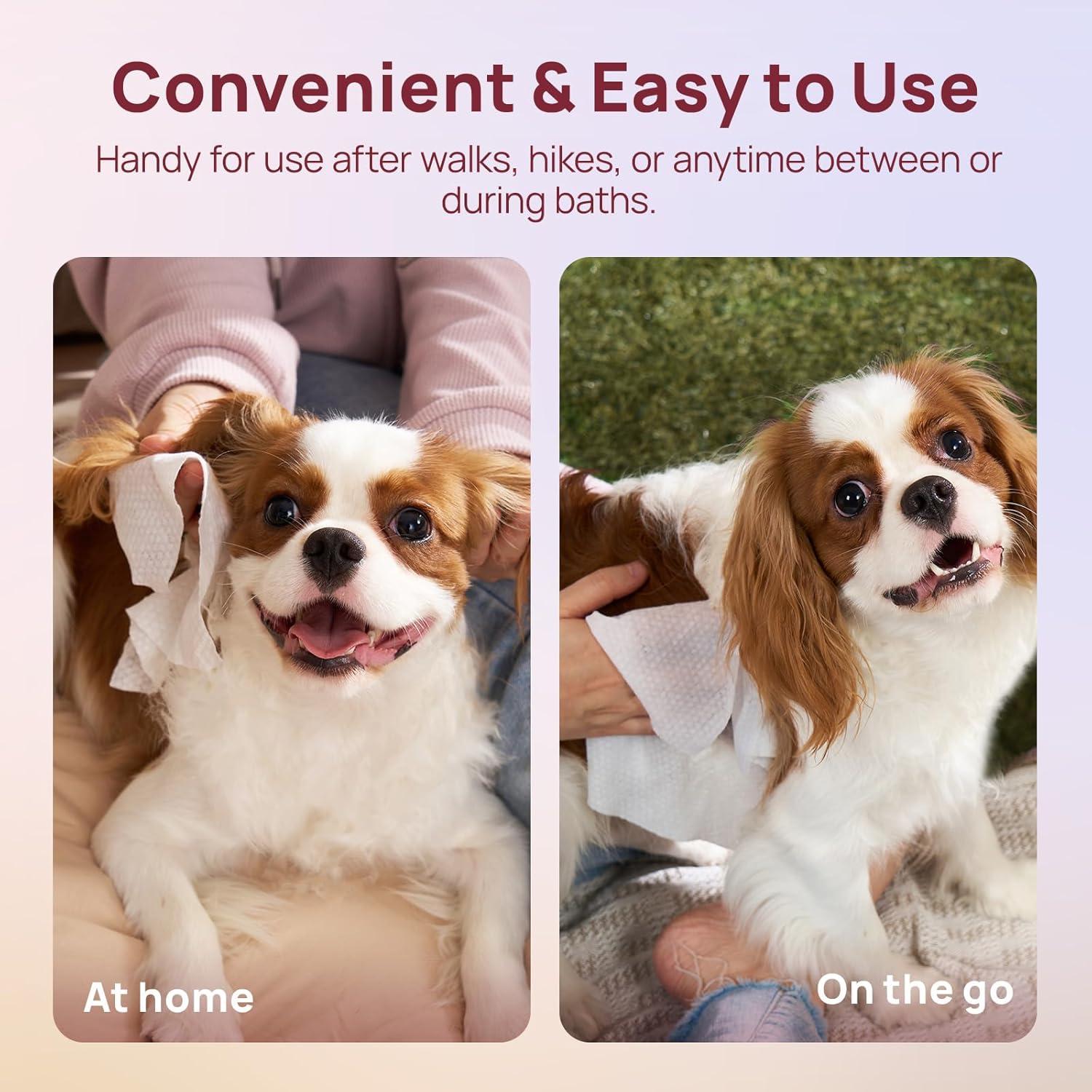 Toallitas Desodorantes HICC para Mascotas 100 Unidades