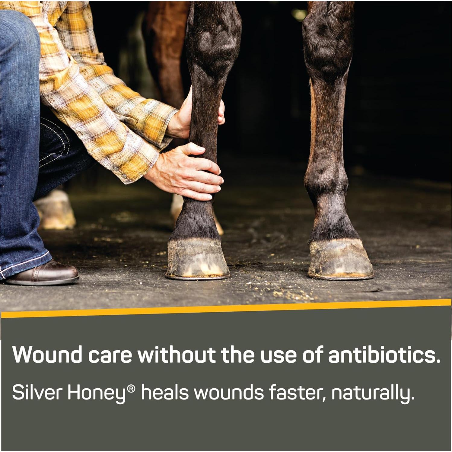 Ungüento Reparador de Heridas Silver Honey 56g Miel de Manuka