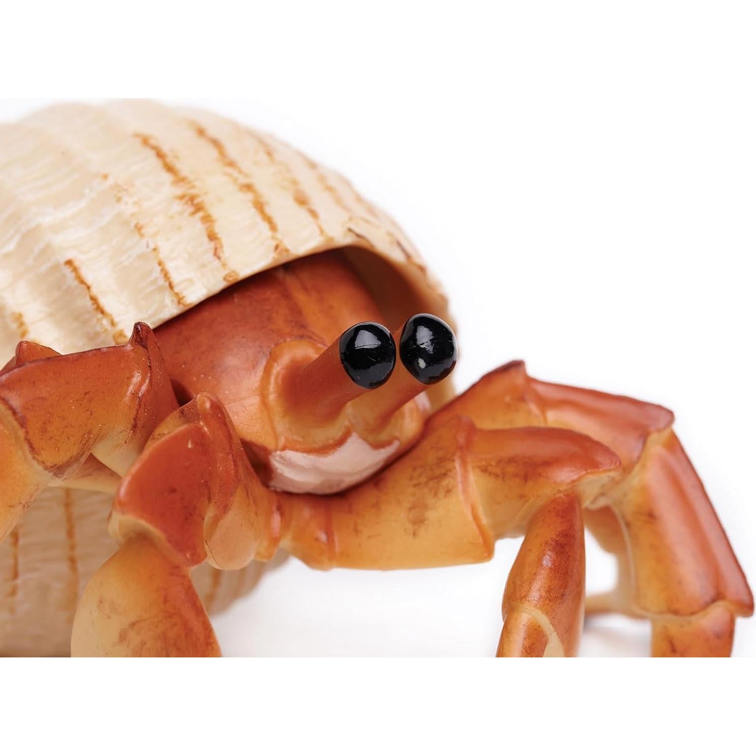 Figura Cangrejo Ermitaño Safari Ltd. 11.43 cm Juguete Educativo