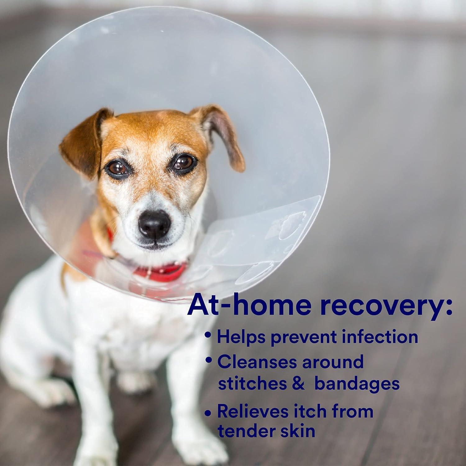 Spray Antimicrobiano SkinSmart para Mascotas 240ml