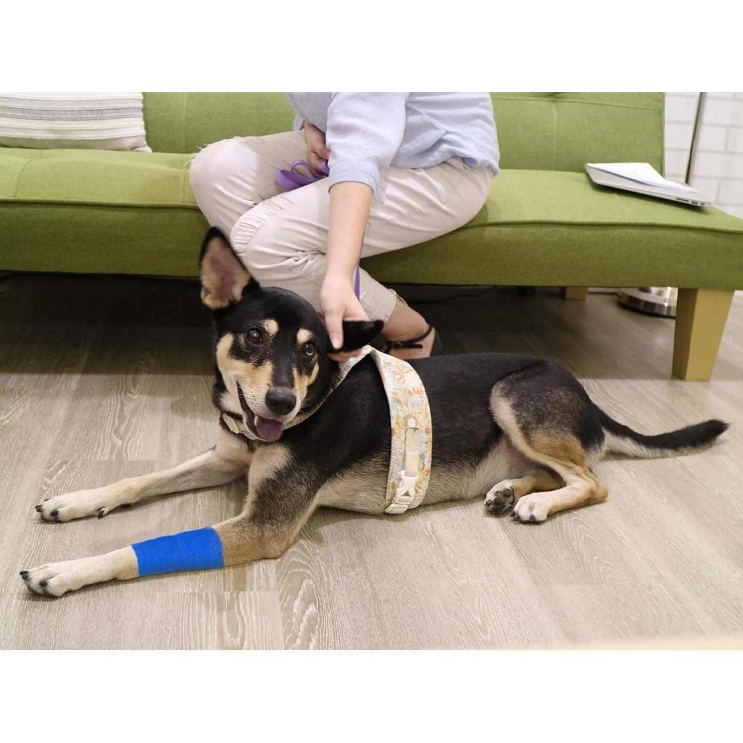 9 Rollos de Cinta Adhesiva FRESINIDER para Lesiones Azul